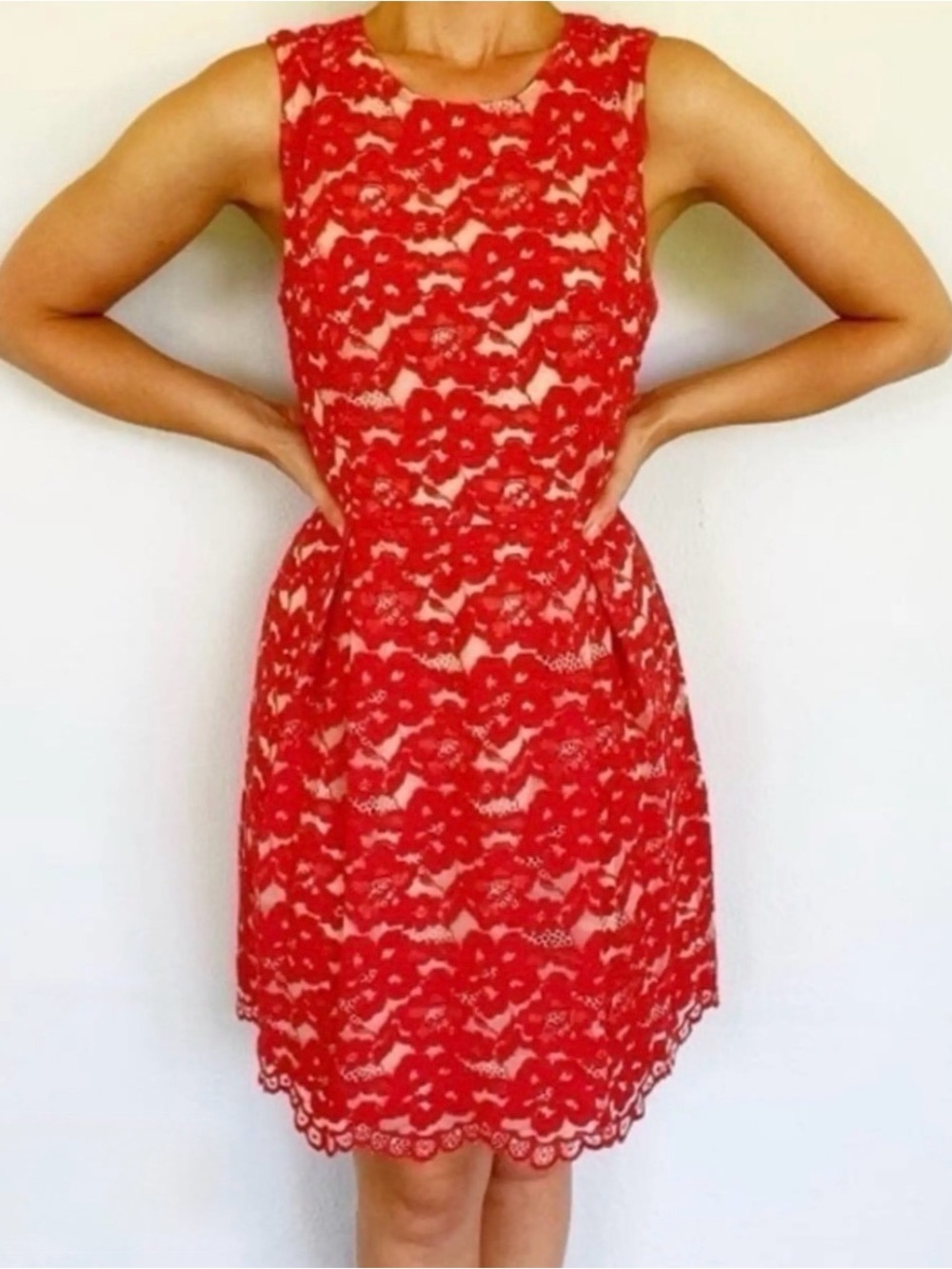 Soprano Red Lace Fit & Flare Mini Dress NWT Wedding Guest Party